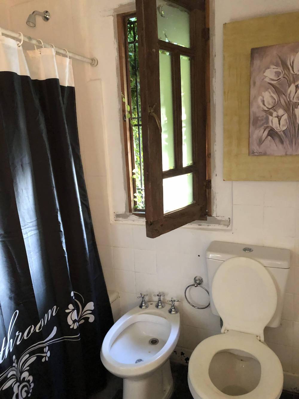 Casa Centro con Departamento y 2 locales - Mitre 228