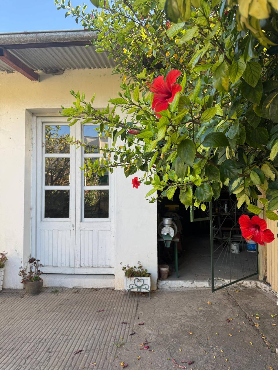 Amplia casa con dos departamentos – Zona céntrica de Gualeguaychú
