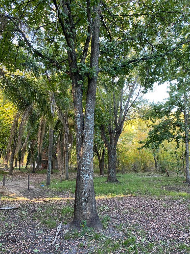 Lote de 2.138 m² con dos departamentos y casa a refaccionar, Gualeguaychu