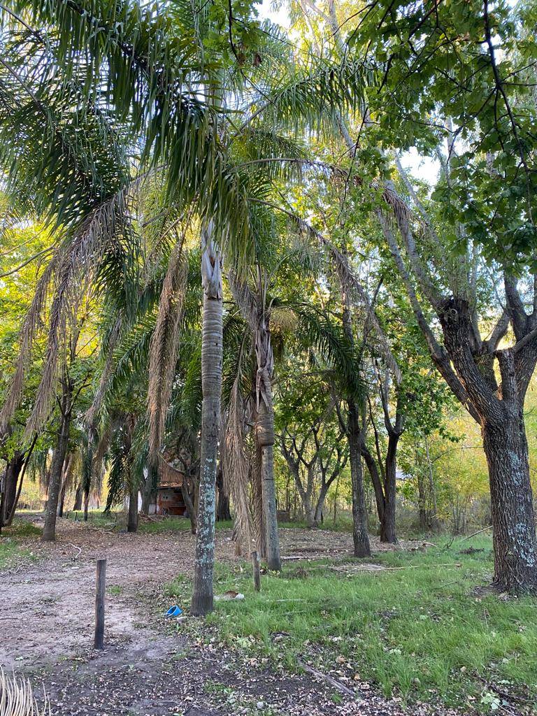 Lote de 2.138 m² con dos departamentos y casa a refaccionar, Gualeguaychu