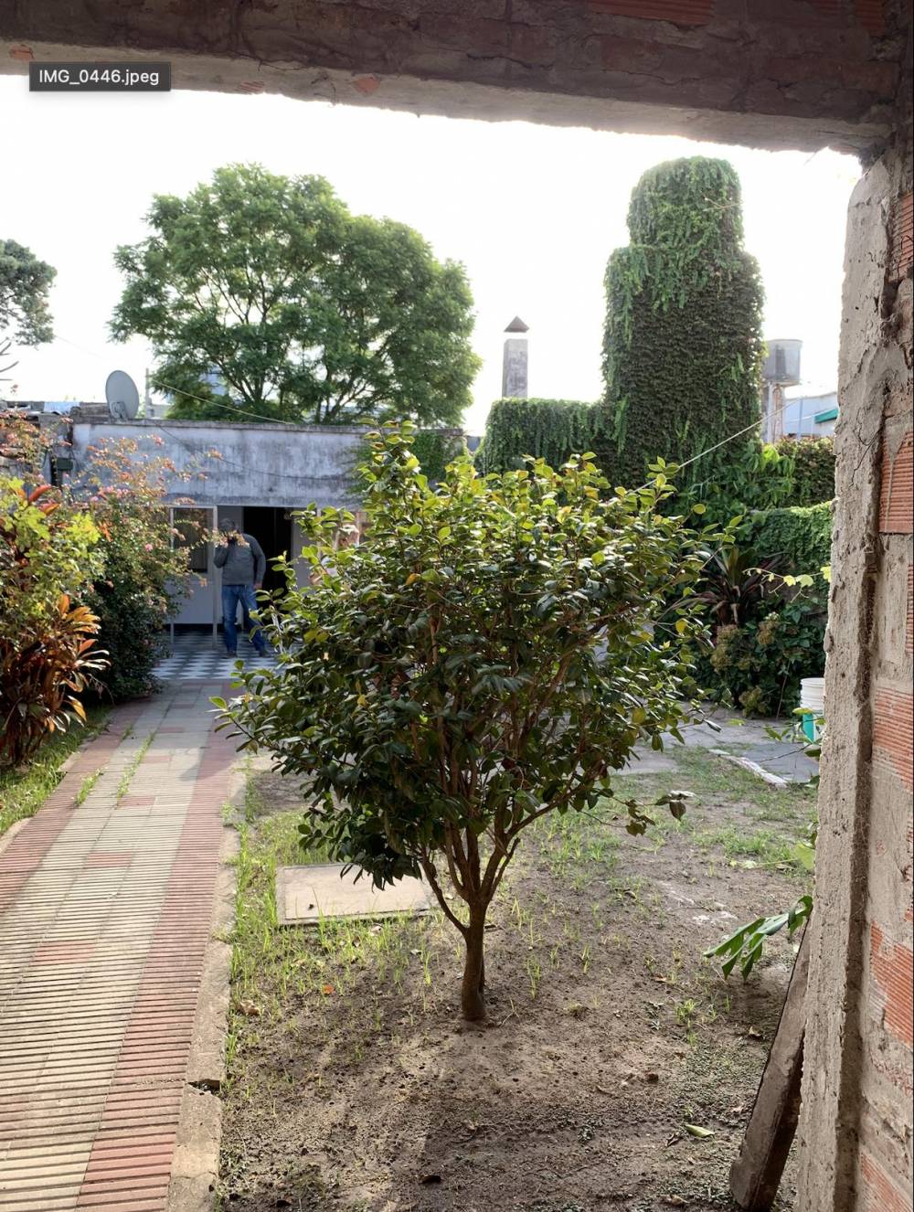 Casa a terminar con gran potencial y amplio patio en excelente ubicación