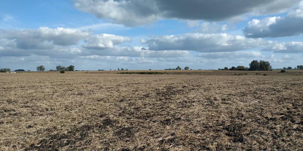 Campo 25Has - Urdinarrain