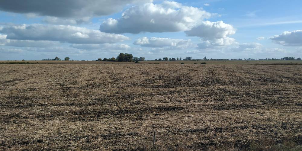 Campo 25Has - Urdinarrain