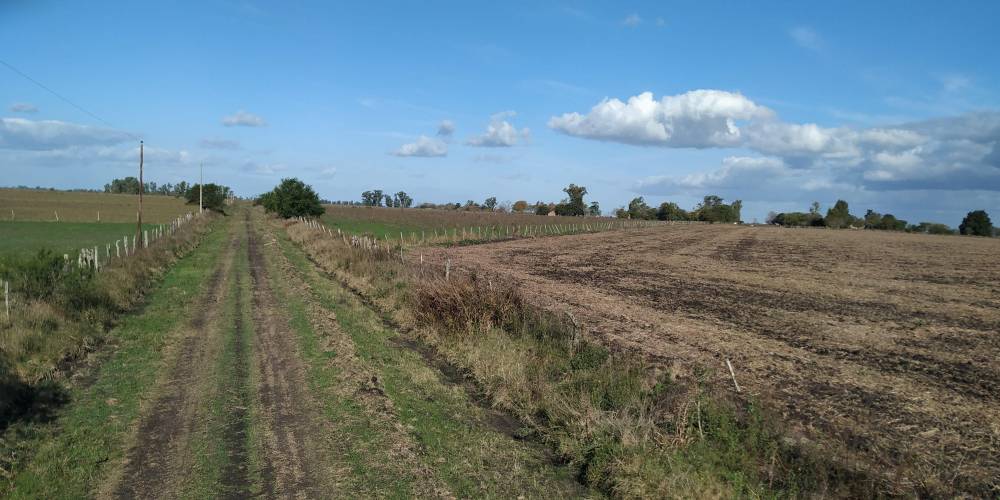 Campo 25Has - Urdinarrain
