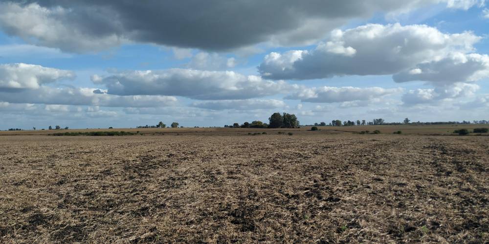 Campo 25Has - Urdinarrain