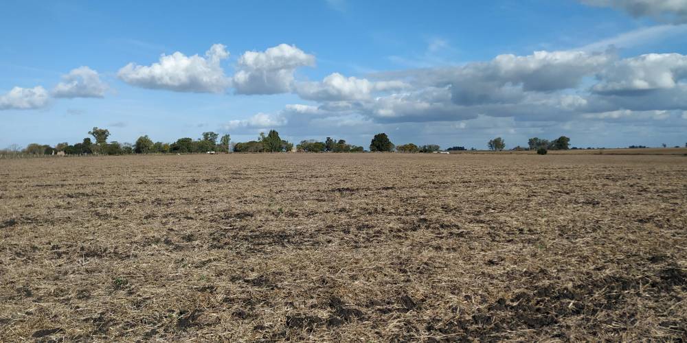 Campo 25Has - Urdinarrain