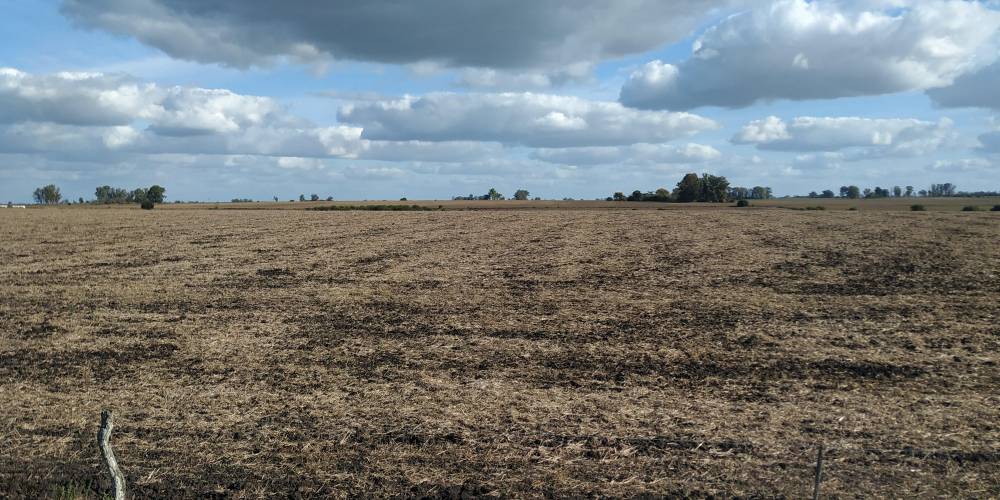 Campo 25Has - Urdinarrain