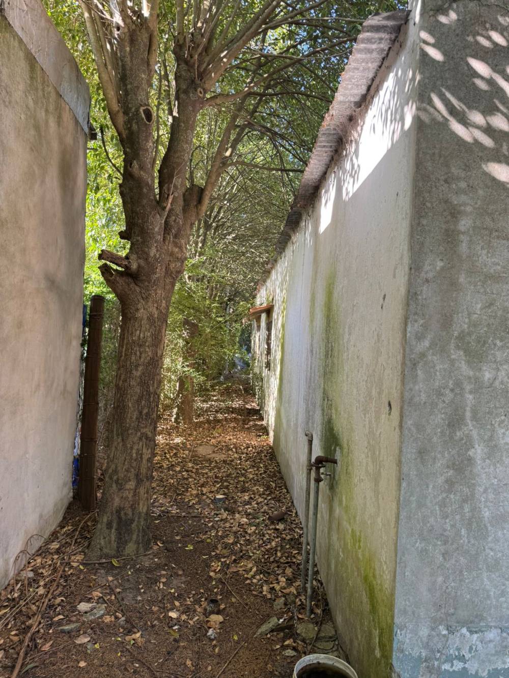Casa en Pueblo Belgrano con amplio terreno y posibilidad de refacción