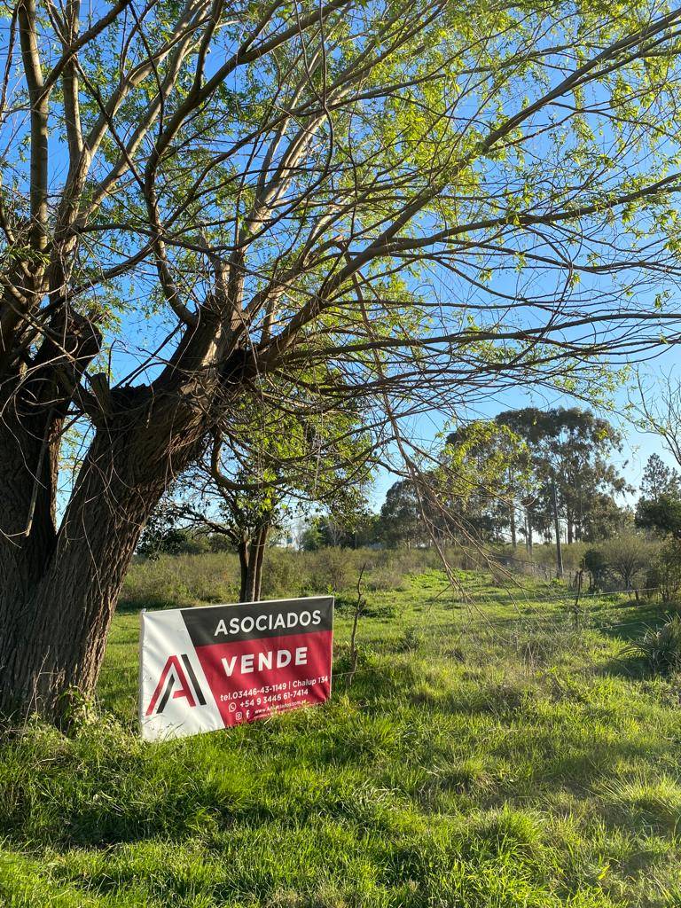 CHACRA 14 HECTÁREAS - ZONA COSTA URUGUAY SUR