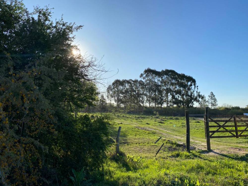 CHACRA 14 HECTÁREAS - ZONA COSTA URUGUAY SUR