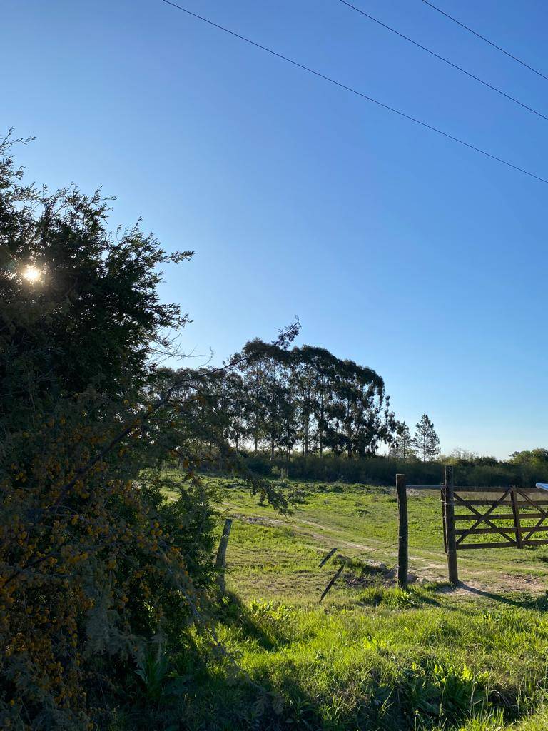 CHACRA 14 HECTÁREAS - ZONA COSTA URUGUAY SUR