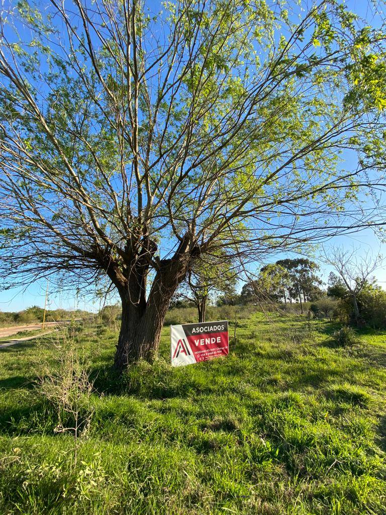 CHACRA 14 HECTÁREAS - ZONA COSTA URUGUAY SUR