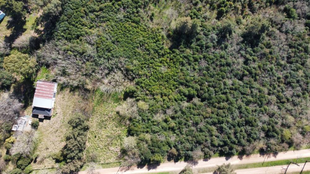 Venta de Chacra 6.17 Has. en Barrio Don Pedro, ingreso a Don Pedro 