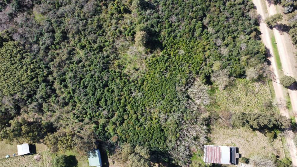 Venta de Chacra 6.17 Has. en Barrio Don Pedro, ingreso a Don Pedro 