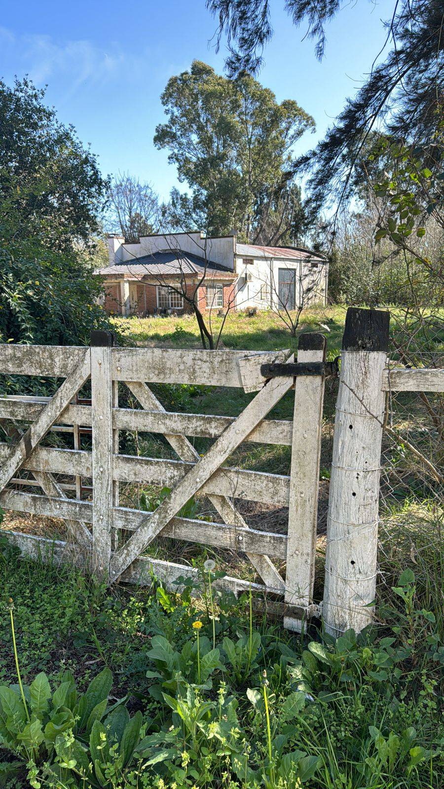 Venta de Chacra 6.17 Has. en Barrio Don Pedro, ingreso a Don Pedro 