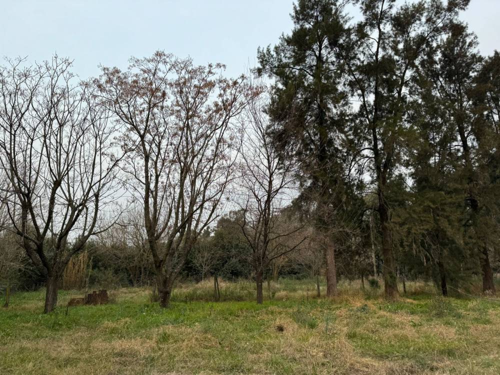 Venta de Chacra 6.17 Has. en Barrio Don Pedro, ingreso a Don Pedro 