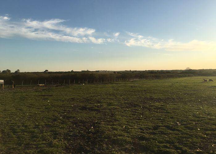 Chacra de 15 Hectáreas con casa y galpón a 500m de Ruta 14