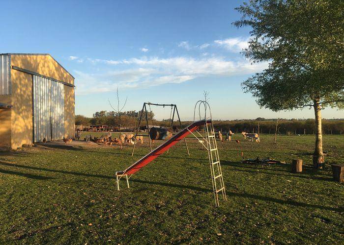 Chacra de 15 Hectáreas con casa y galpón a 500m de Ruta 14