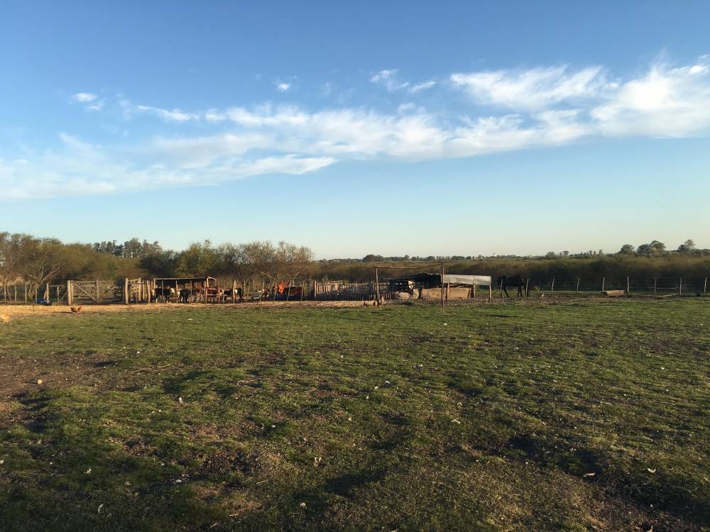 Chacra de 15 Hectáreas con casa y galpón a 500m de Ruta 14