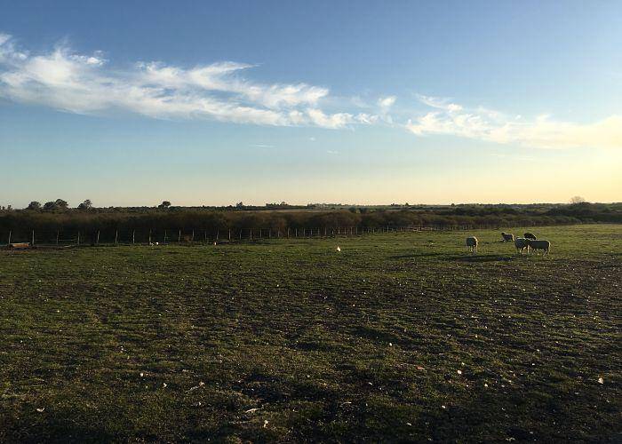 Chacra de 15 Hectáreas con casa y galpón a 500m de Ruta 14