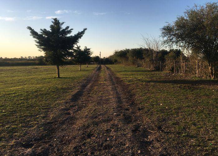 Chacra de 15 Hectáreas con casa y galpón a 500m de Ruta 14