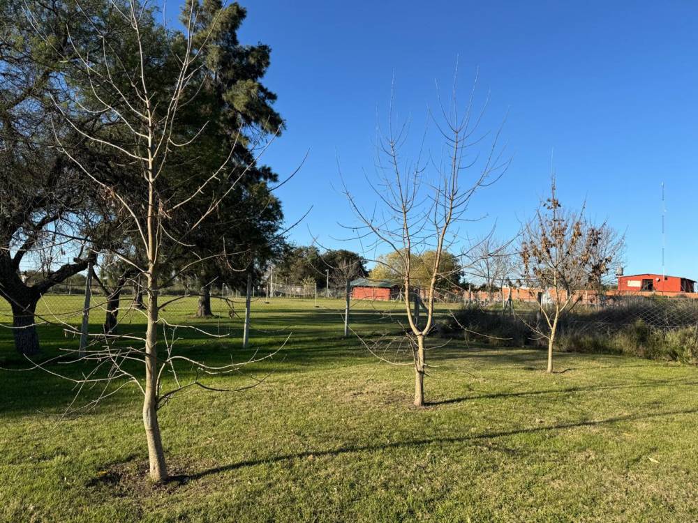 Chacra con pileta y arboleda en Gualeguaychú – Ideal para vivir o invertir