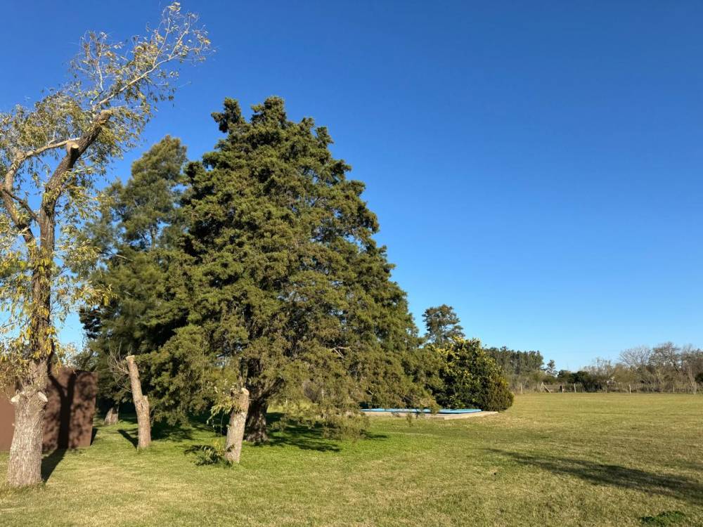 Chacra con pileta y arboleda en Gualeguaychú – Ideal para vivir o invertir
