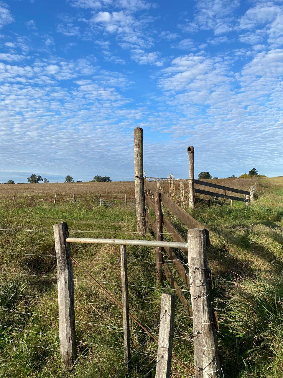  CHACRA DE 8.9 HECTÁREAS SOBRE RUTA 136