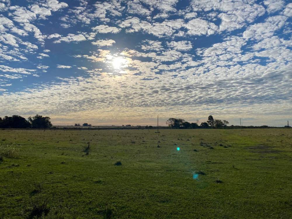  CHACRA DE 8.9 HECTÁREAS SOBRE RUTA 136