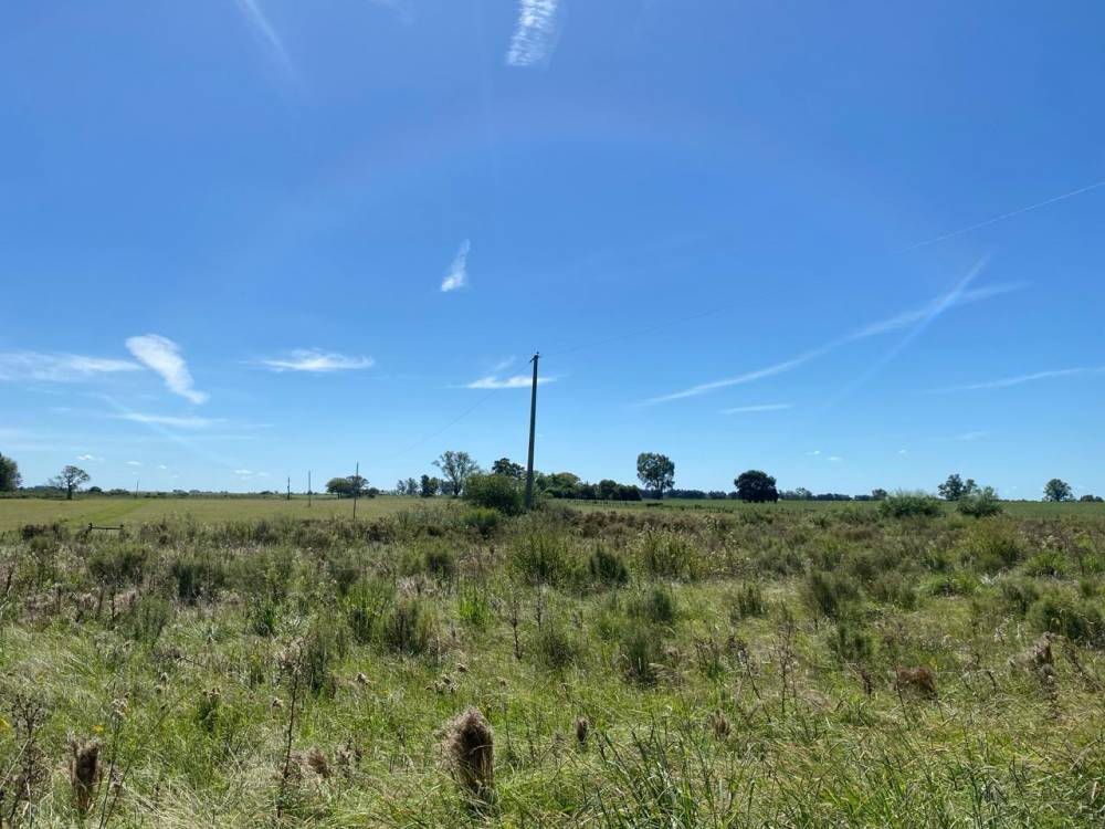  CHACRA DE 8.9 HECTÁREAS SOBRE RUTA 136
