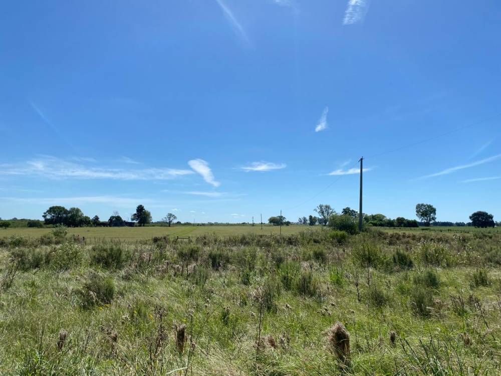  CHACRA DE 8.9 HECTÁREAS SOBRE RUTA 136