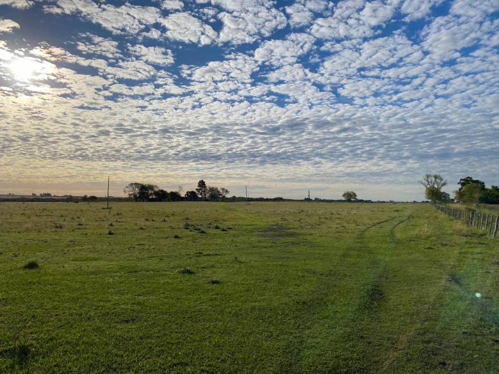  CHACRA DE 8.9 HECTÁREAS SOBRE RUTA 136