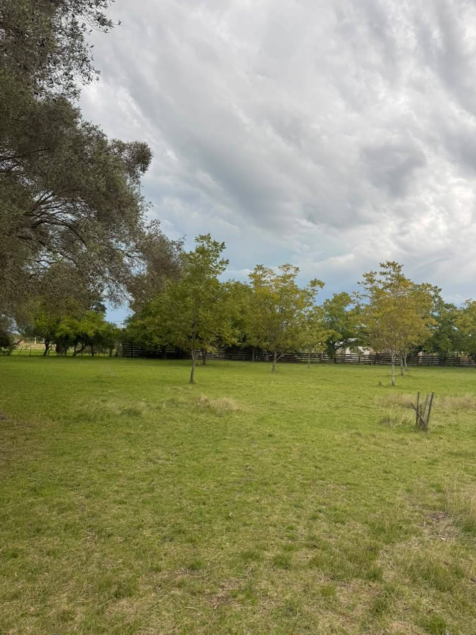 Chacra en venta con mas de 4.000 m² y arboles pecanes