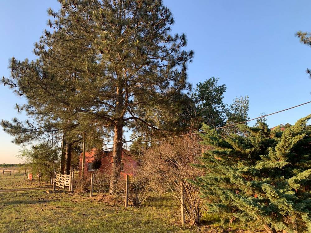 COMPLEJO TURISTICO, CAMINO A ÑANDUBAYSAL