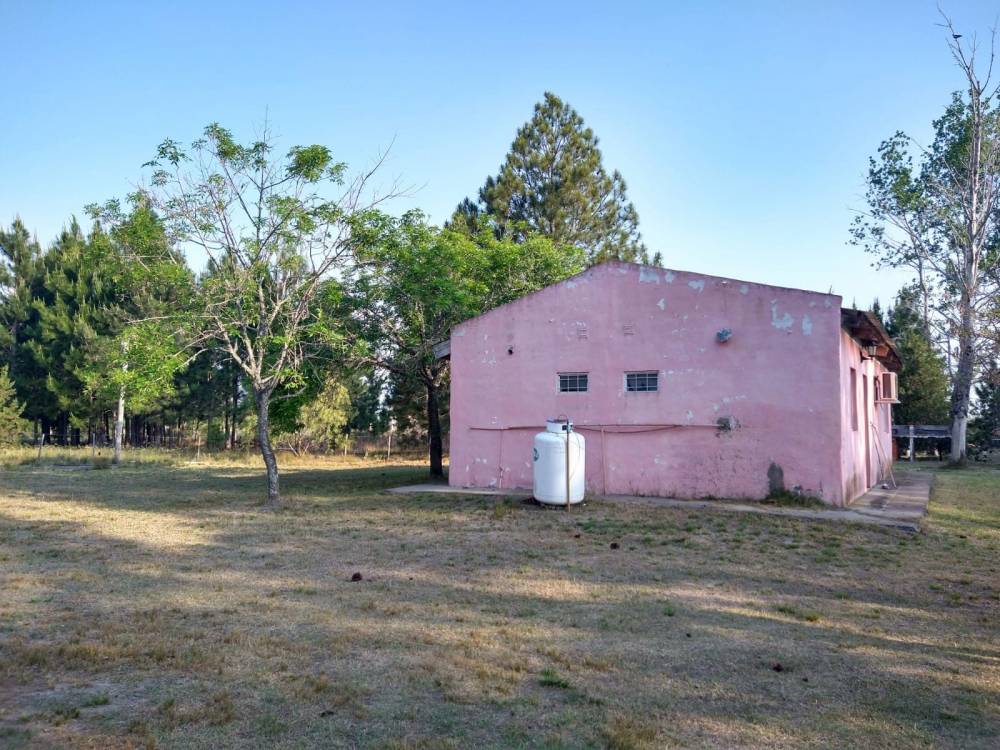 COMPLEJO TURISTICO TRINARES DEL PINAR - CAMINO A ÑANDUBAYSAL