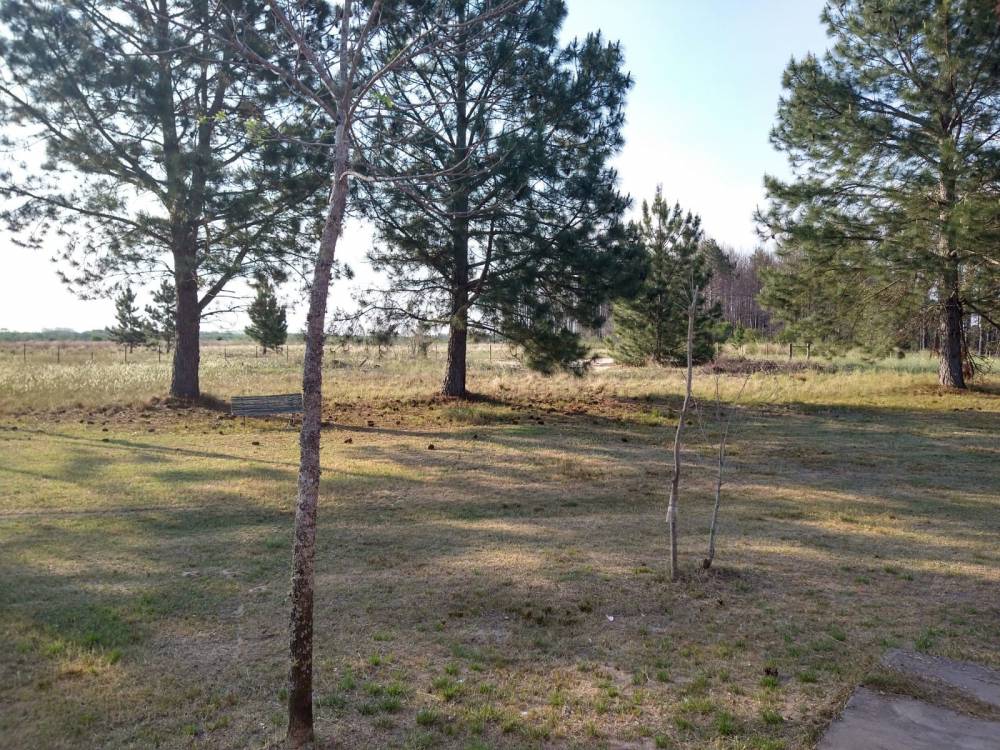 COMPLEJO TURISTICO TRINARES DEL PINAR - CAMINO A ÑANDUBAYSAL