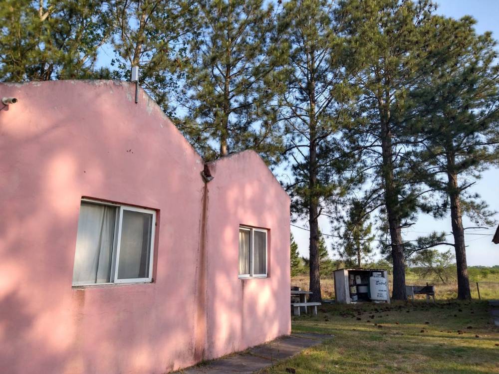 COMPLEJO TURISTICO TRINARES DEL PINAR - CAMINO A ÑANDUBAYSAL