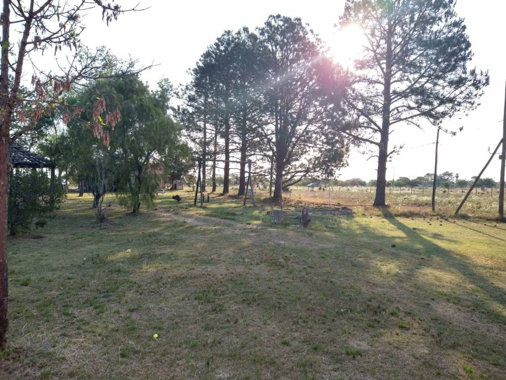 COMPLEJO TURISTICO TRINARES DEL PINAR - CAMINO A ÑANDUBAYSAL