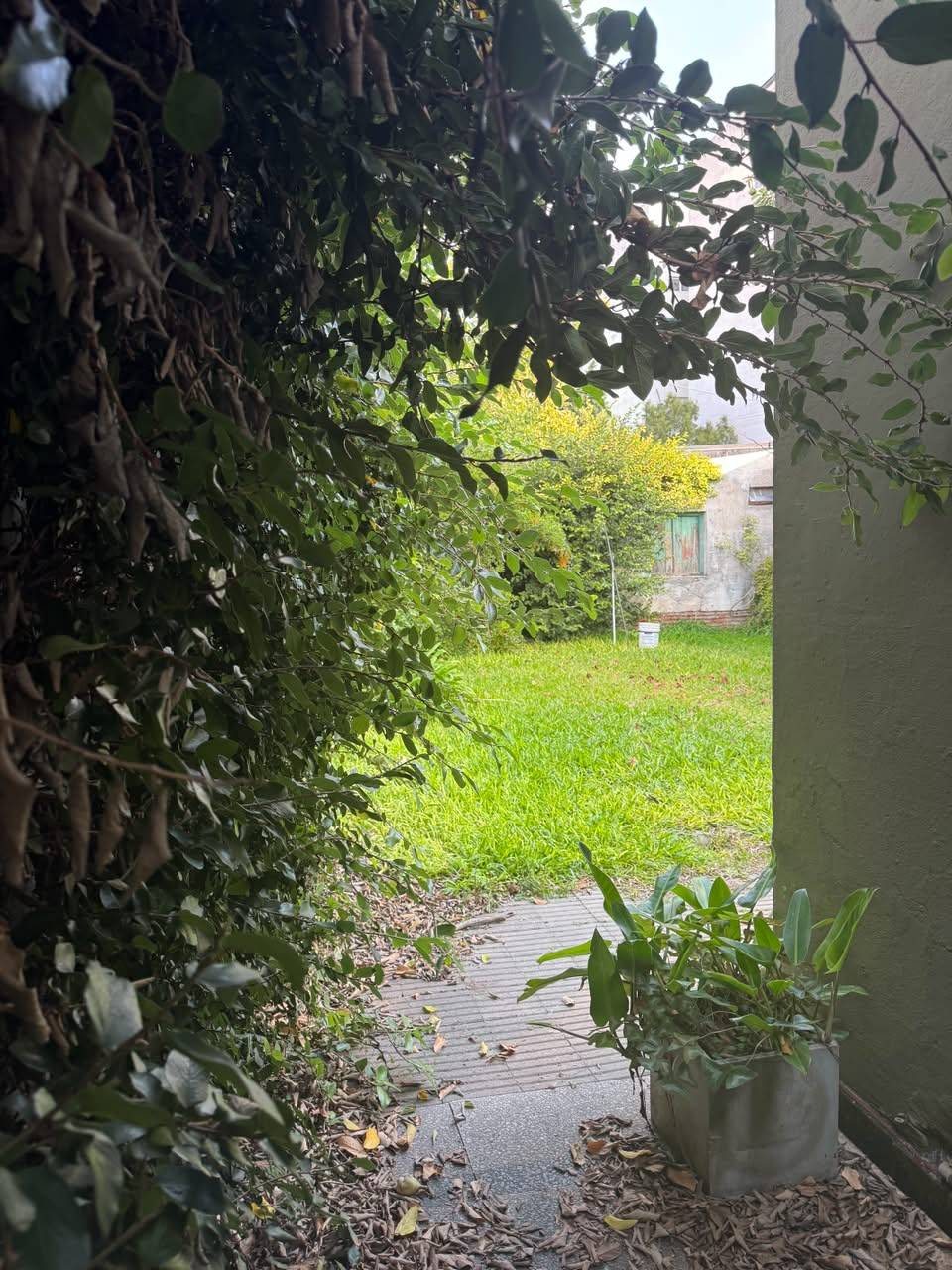 En pleno centro: cómoda casa con gran terreno y patio