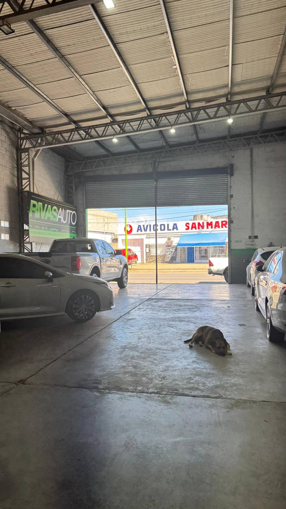 Galpón en venta sobre Primera Junta