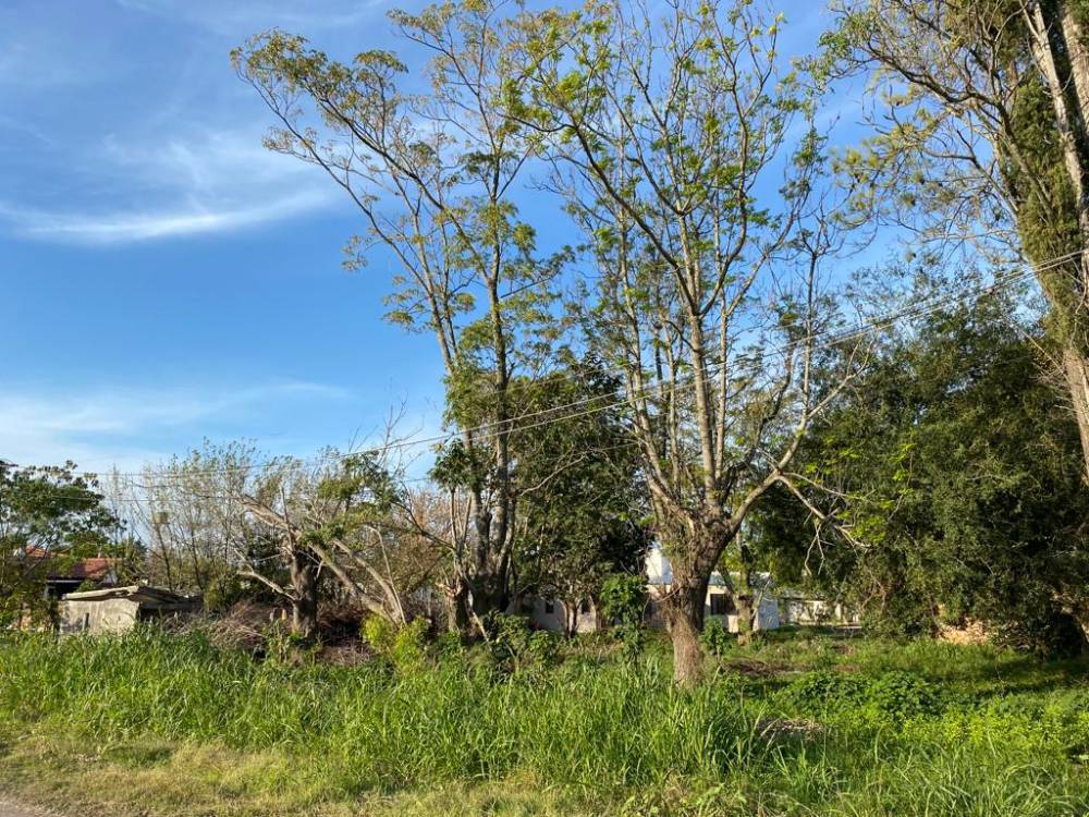 Lote de 1.195 m² en venta - Urquiza al Oeste, calle Arroyo Feliciano