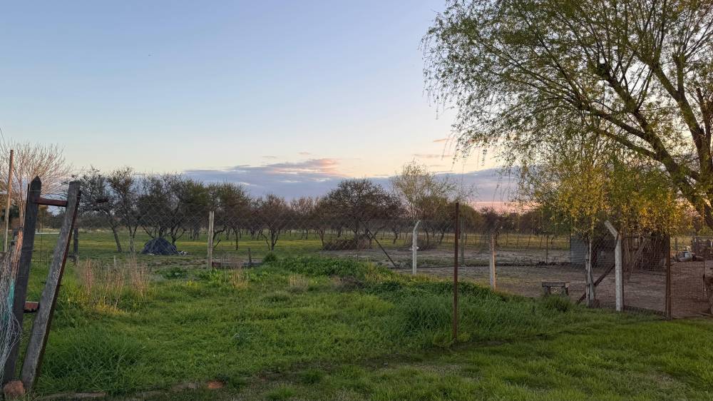 Mas de 1 Hectarea para desarrollar, con Vivienda Incluida