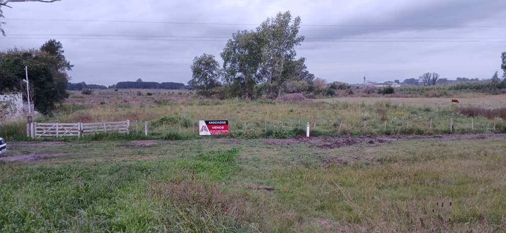 Lote de 4931 m² sobre Ruta 14 – Gualeguaychú