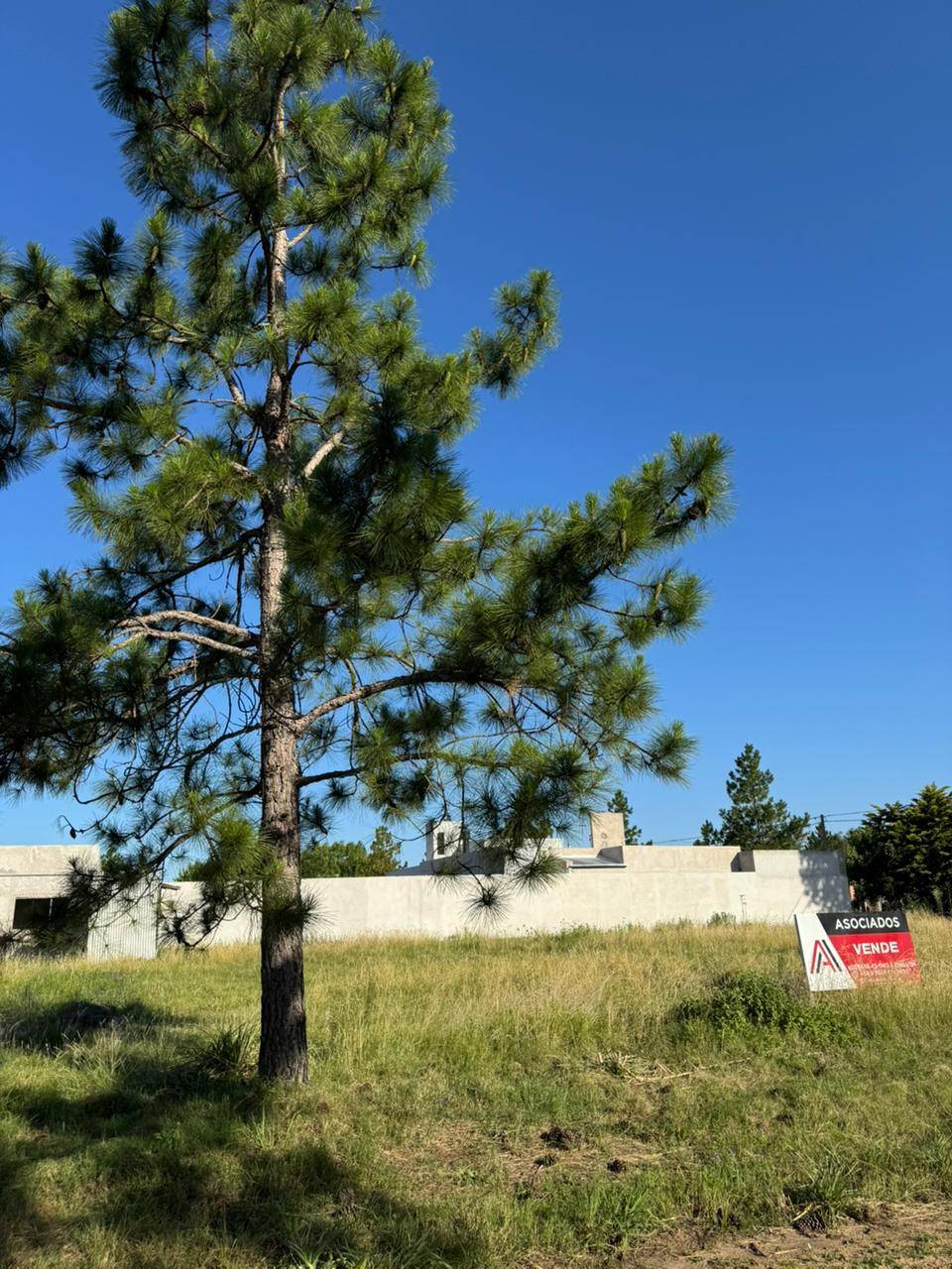 Venta de terreno en Pueblo Belgrano 