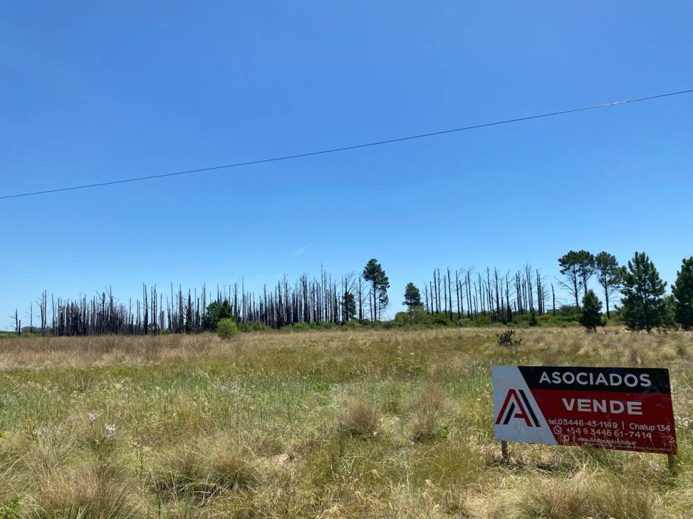 Terreno en venta – Camino a Ñandubaysal, Gualeguaychú