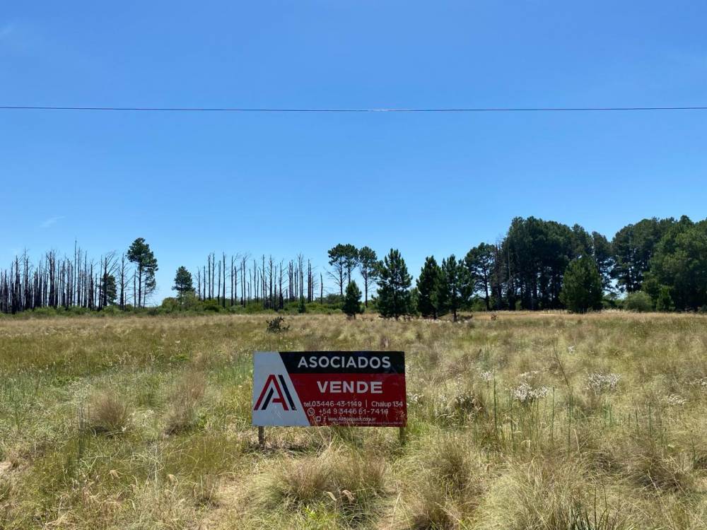 Terreno en venta – Camino a Ñandubaysal, Gualeguaychú