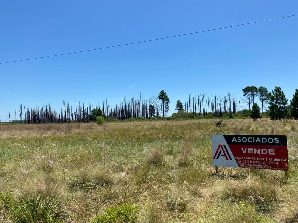 Terreno en venta – Camino a Ñandubaysal, Gualeguaychú