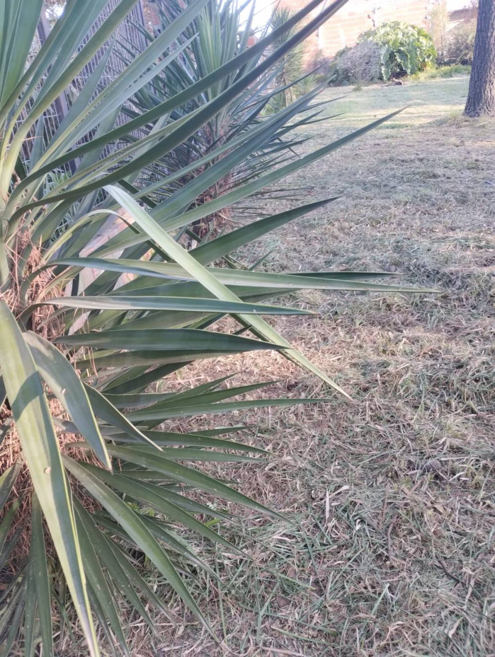 Terreno de 210 m2 en venta con servicios