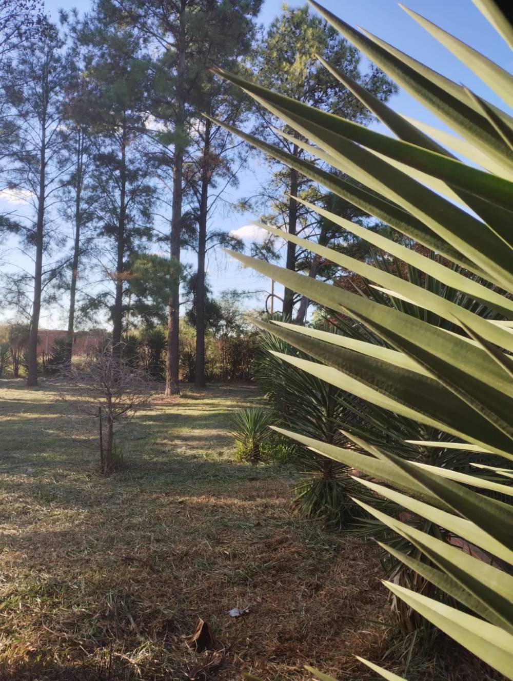 Terreno de 210 m2 en venta con servicios