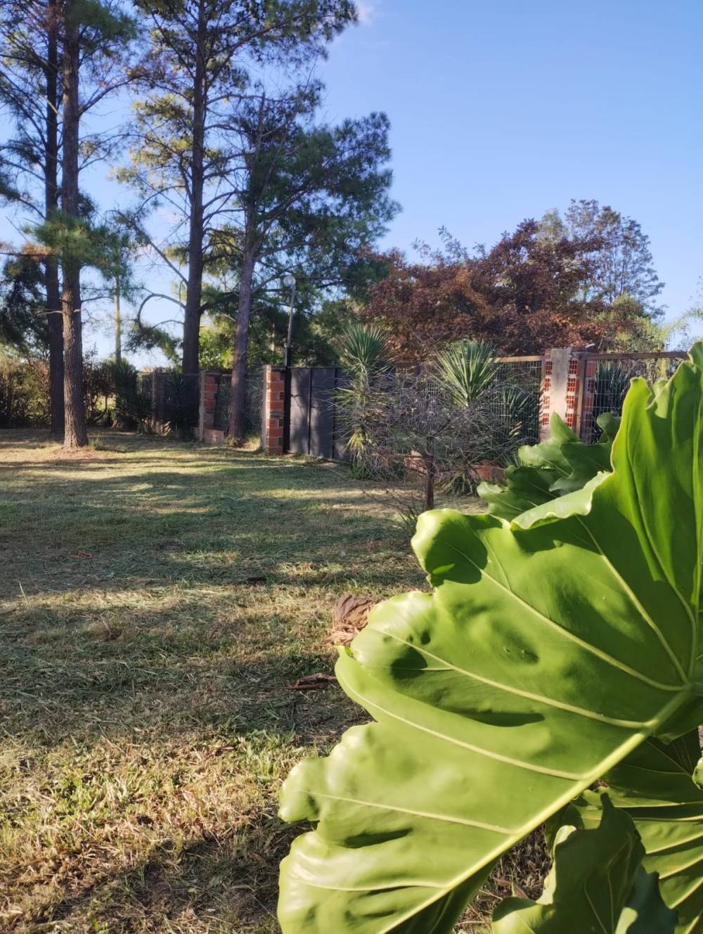 Terreno de 210 m2 en venta con servicios